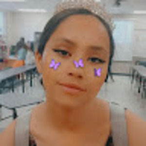 Meet your Posher, Analisse